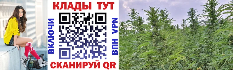 Купить закладку Гашиш  Каннабис  КОКАИН  Мефедрон  Гурьевск