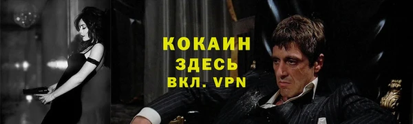 дурь Лабытнанги