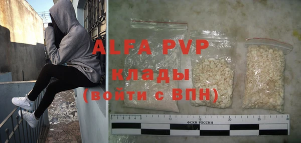 амф Ладушкин